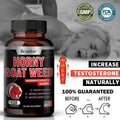 Horny Goat Weed - Back to Teens